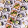Finger food nr 1 box