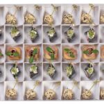 Finger food nr 1 box