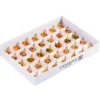 Finger Food nr 8 box Vegan