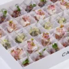 Vegan Ball Box