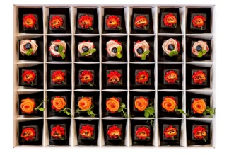 halloween-box-nr-4-wytrawny-otwarty
